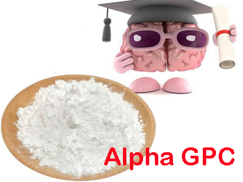 Does Glycerophosphorylcholine Increase Human Growth Hormone?